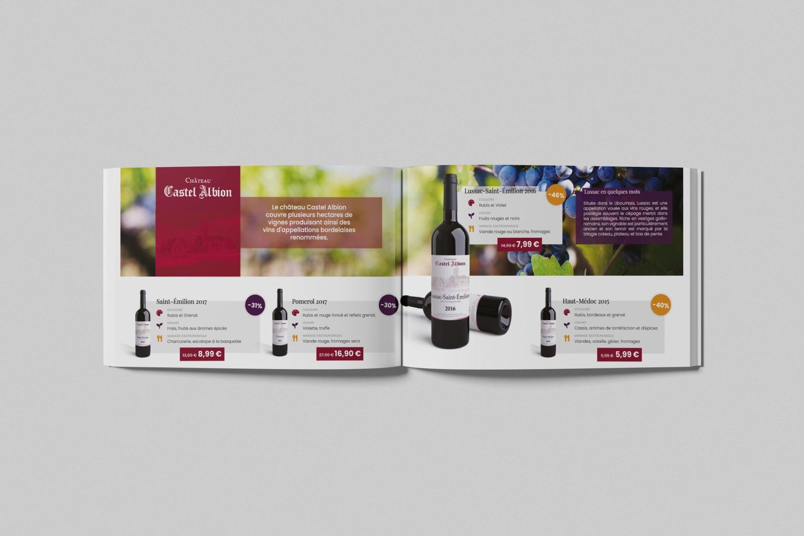 Catalogue de vins ouvert sur une double page Château Castel Albion : présentation du domaine, puis Saint-Émilion, Pomerol, Lussac-Saint-Émilion et Haut-Médoc avec couleurs, arômes, accords et prix remisés