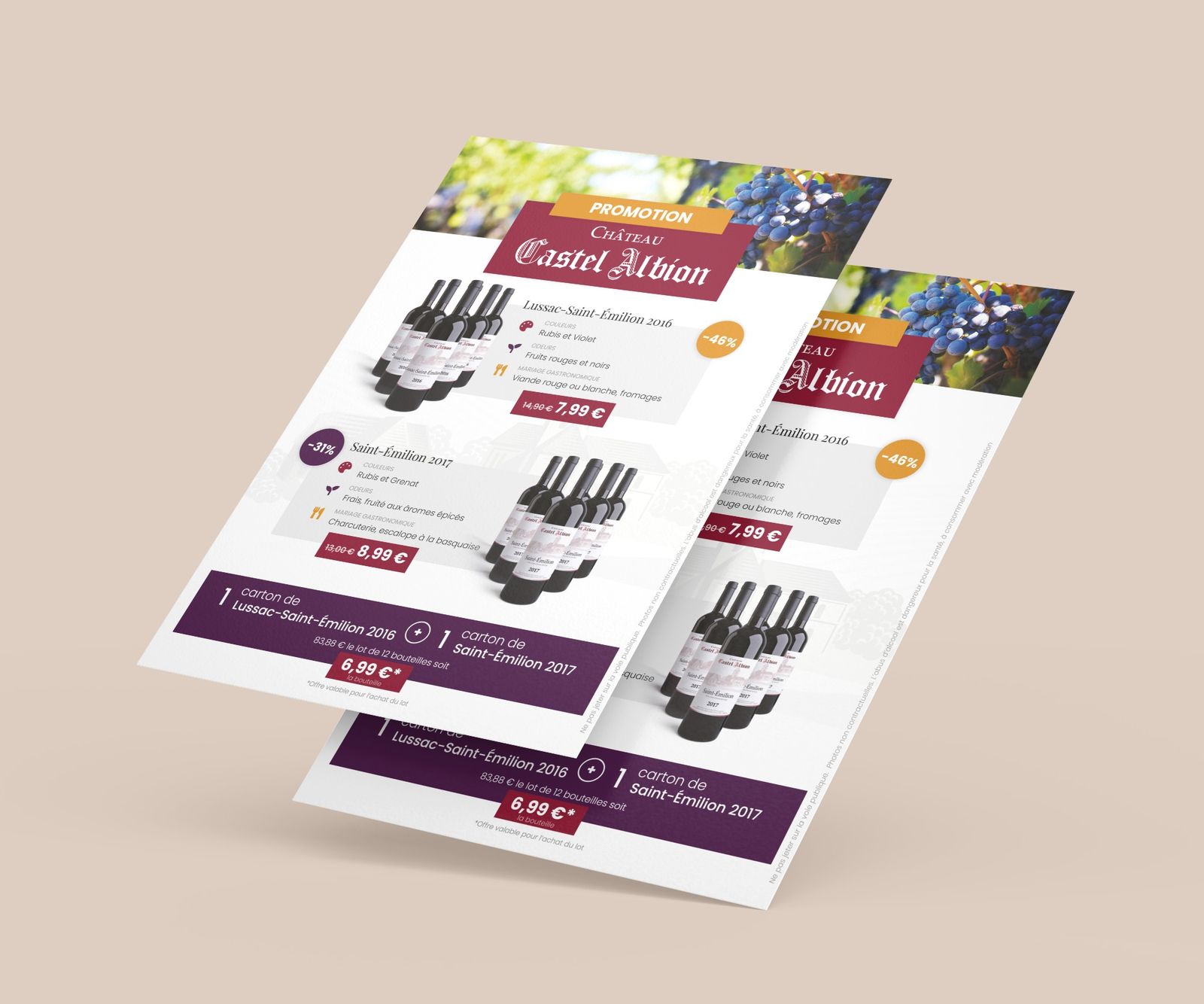 Flyer promotionnel Château Castel Albion : Lussac-Saint-Émilion 2016 et Saint-Émilion 2017 avec couleurs, arômes, accords et prix remisés, et une offre sur un lot de deux cartons